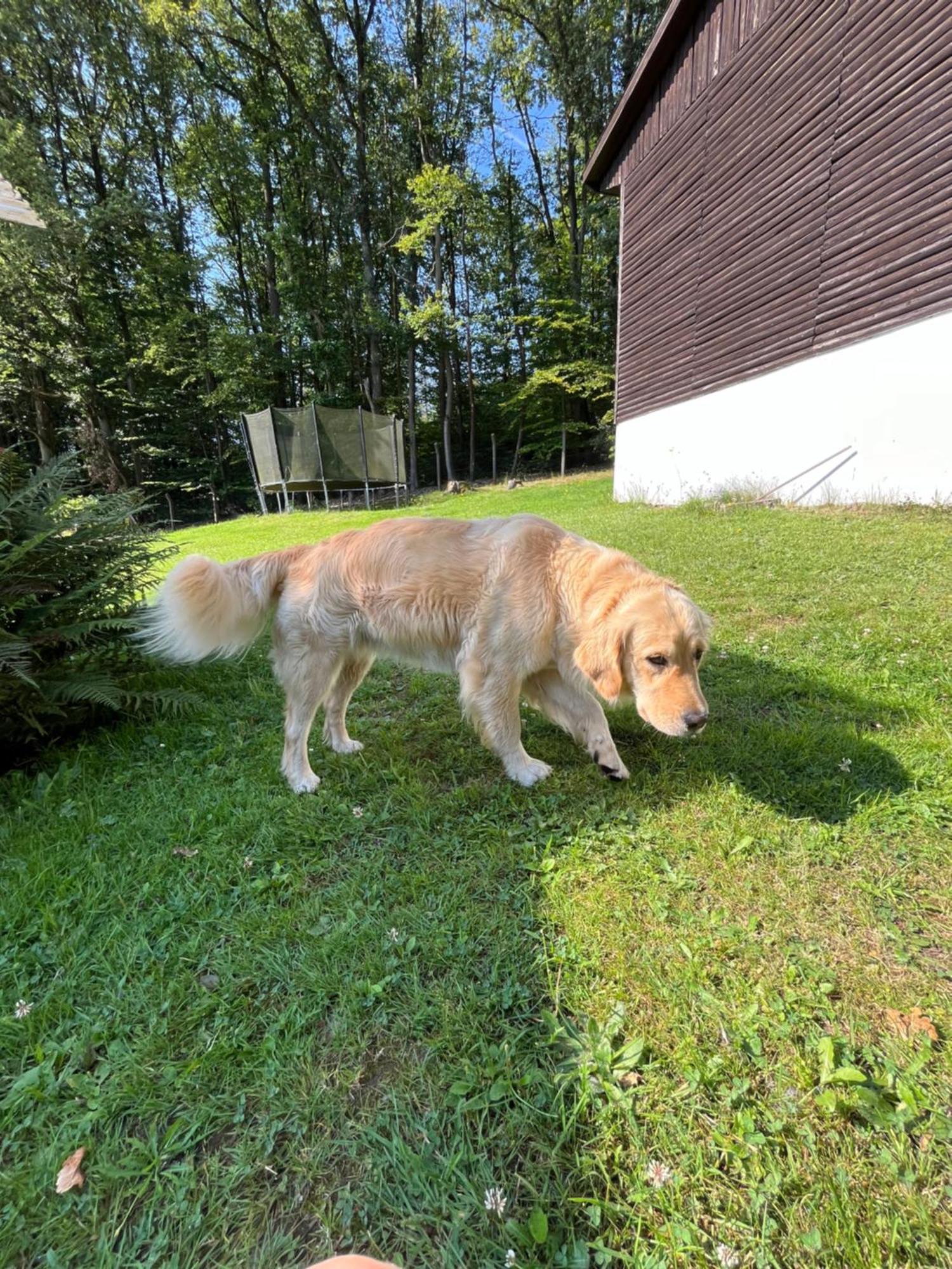 Ferienheim Mosbach Hotel Wutha-Farnroda Kültér fotó